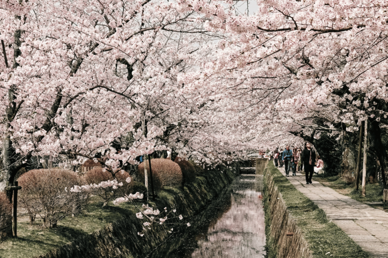 Kyoto Walking Itinerary: Explore the City on Foot