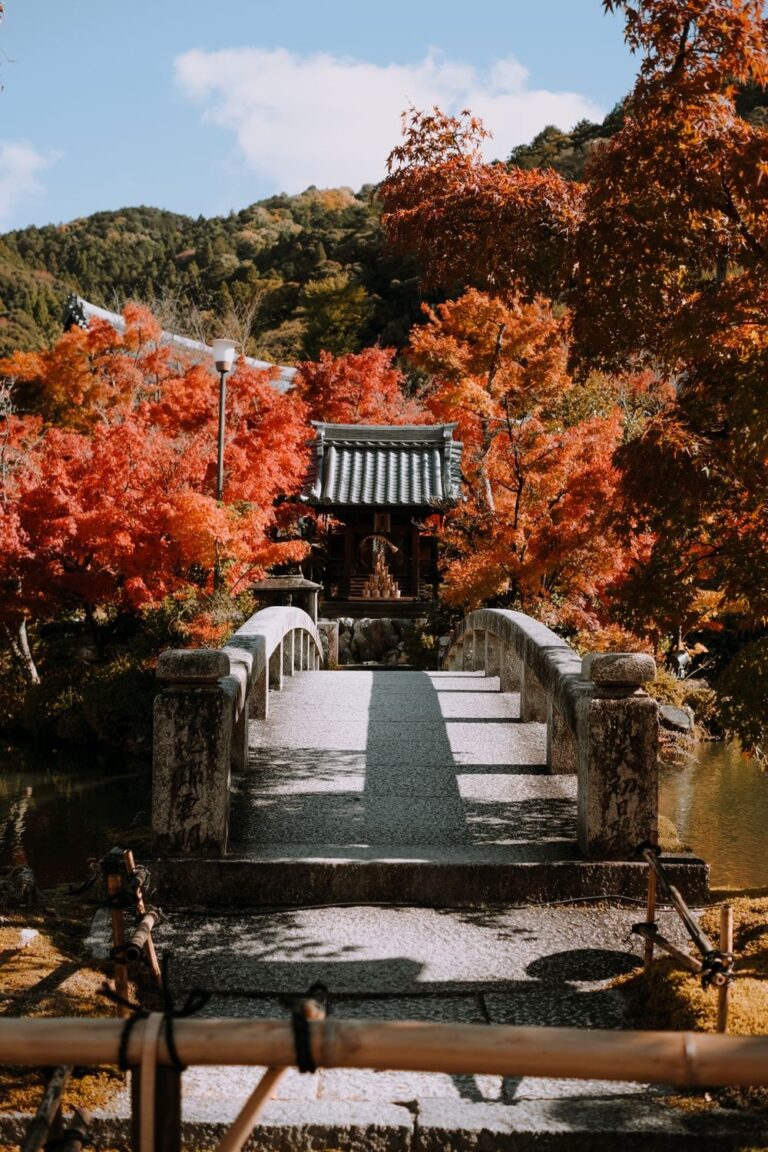 Japan Autumn Itinerary: Best Routes for Fall Colors 