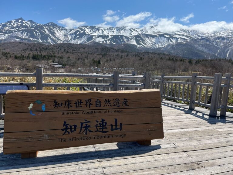 Shiretoko: Wild Bears and Untouched Wilderness in Hokkaido