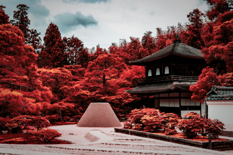Things to Do in Kyoto: Temples, Cultural Spots, and Travel Tips