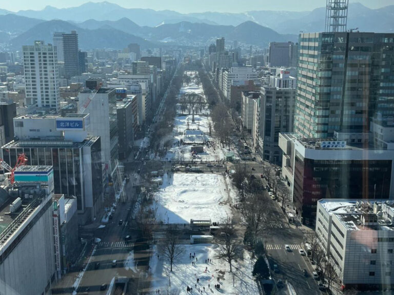Sapporo Odori Park Cultural Experiences: Year-Round Festivals in Hokkaido