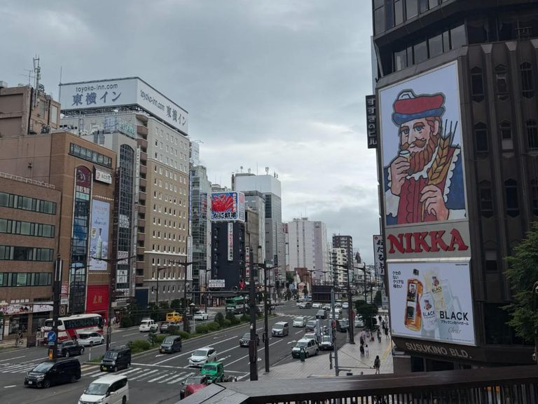 Tanukikoji and Susukino: Shopping Arcades and Nightlife Traditions in Sapporo