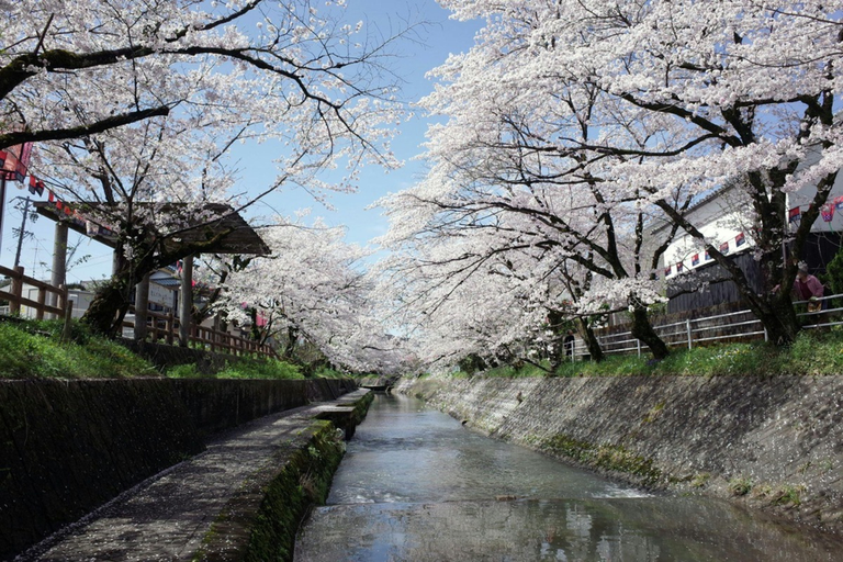 Best Time to Visit Japan: A Season-by-Season Guide for First-Time Travelers