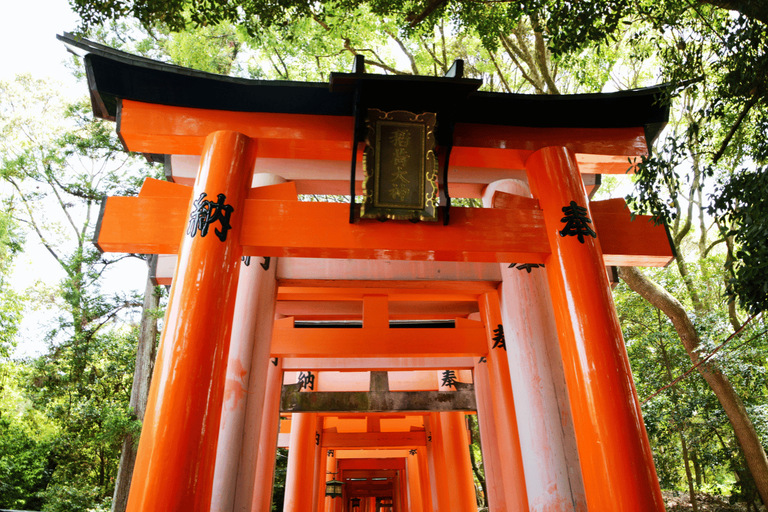 Kyoto Scenic Views: Best Viewpoints and Landscapes to See in Kyoto