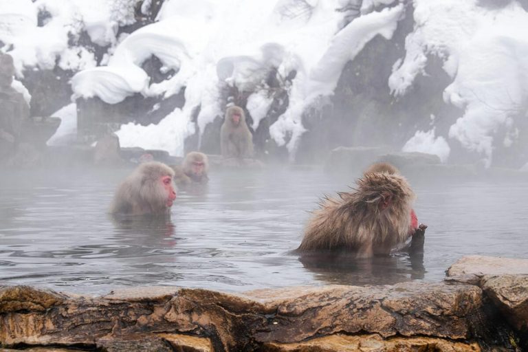 Most Popular Onsen in Japan: Where to Go and What to Expect