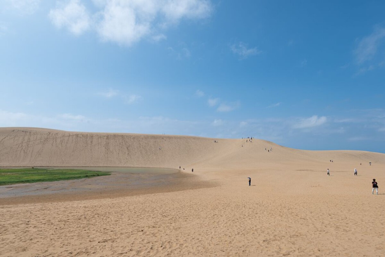 Must-See Places in Japan: Why Tottori Sand Dunes Belong on Your Itinerary