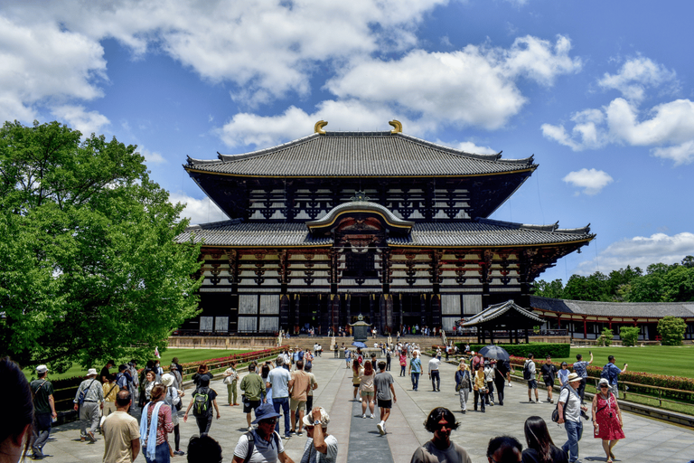 Nara Day Trip Guide: Explore Temples, Deer, and Local Food