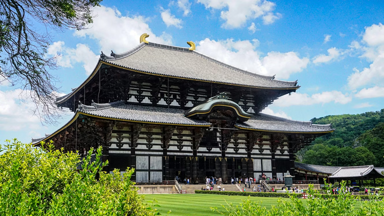 Nara Temples Guide: The Best Spots to Visit