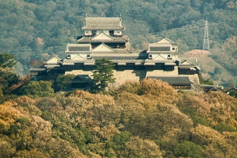 Things to Do in Japan in Autumn: Fall Foliage, Castles, and How to Make the Most of the Season
