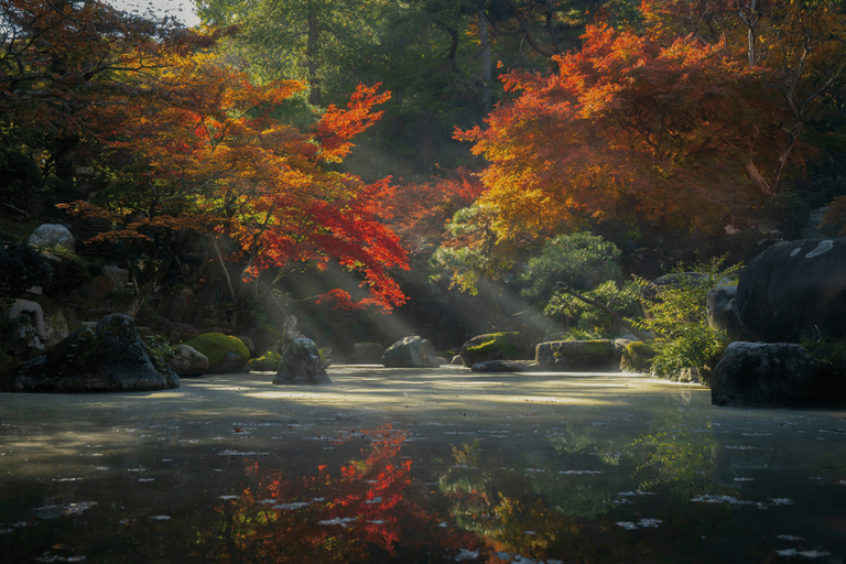 What Makes Japan’s Autumn Leaves So Special: Why Koyo Stands Out Around the World